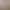 Maternity Shorts Tops Spring and Summer Suit Tops for Small Women and Pregnant Women Two-Piece Summer Outer Wear T-Shirts at Home Maternity Shorts Tops Spring and Summer Suit Tops for Small Women and Pregnant Women Two-Piece Summer Outer Wear T-Shirts at Home