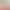 310g German Velvet Heating Fabric Modal Wool Lyocell Blended German Velvet Fabric Autumn and Winter Thermal Intimates Fabric
