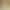 Purebred Pomeranian Puppies, Teacup Dogs, Small and Large Dogs, Live White Pomeranian Dogs, Domestic Pet Dogs, Yellow Pomeranian