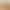 Artificial Reed Grass, Dried Reed Flowers, Barley Ears, Cattail Grass, Landscaping Props, Autumn Window Display Decorations, Coffee Color