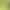 Cat Mint Tea, Cat Grass, Cat Drinking Water, Cat Mood Regulation, Natural Promotion of Cat Drinking Water, Cat Mint Powder Cat Mint Tea, Cat Grass, Cat Drinking Water, Cat Mood Regulation, Natural Promotion of Cat Drinking Water, Cat Mint Powder