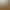 Supply cashmere wadding camel cotton camel wool cotton wool cotton cold warm cotton