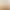 Cross-Border Simulated Rose Lampshade Bouquet Birthday Decoration Ornaments Goddess Women's Day Valentine's Day Gift Wholesale
