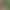 2026 Summer Vintage Forest Green Vacation Style Maternity Dress