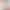 Spring and Summer New Style Halterneck Long-Sleeved Yoga Suit Tight-Fitting Threaded Fitness Suit Slimming Sports Bra Top