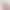 New thickened and enlarged bubble velvet towel, soft and non-shedding coral velvet household adult face towel New thickened and enlarged bubble velvet towel, soft and non-shedding coral velvet household adult face towel