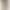 Khaki Suit Fabric Shorts for Women, Summer Thin High-Waisted Loose Slimming Wide-Leg Straight Mid-Length Shorts