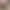 Cross-border exclusive sports comfort shorts for women, mid-waist tummy control cycling yoga shorts, women's comfortable boxer shorts