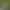 Moss micro landscape finished ecological bottle creative night light Totoro decoration diy green plant glass potted birthday gift Moss micro landscape finished ecological bottle creative night light Totoro decoration diy green plant glass potted birthday gift