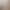 High-Looking Transparent Flared Single-Layer Cup, Iced American Latte Cup, Heat-Resistant Juice Drink Cup, High Borosilicate Glass Cup