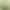 Direct Sales from the Manufacturer: Mulberry Leaf, Bitter Melon, and Winter Melon Tea Bags, Mulberry Leaf Tea Bags for Diabetics, Herbal Health Tea Bags for Brewing