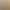 Lightweight Ribbed down Jacket for Women, Autumn and Winter 2025 New Korean Style, Youthful Campus Slim Fit Commuter Thin Cotton Coat