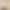 Summer Fashion Pure Cotton Short-Sleeve T-Shirt for Petite Women, Stylish Polo Collar, Simple Turn-Down Collar, Trendy, Slimming, High-End Summer Fashion Pure Cotton Short-Sleeve T-Shirt for Petite Women, Stylish Polo Collar, Simple Turn-Down Collar, Trendy, Slimming, High-End