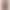 T 79360 Mesh long evening dresses T 79360 Mesh long evening dresses