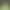 New American-Style Letter Embroidery Avocado Green Outdoor Functional Hooded Jacket for Women with Zipper and Trendy Brand Design New American-Style Letter Embroidery Avocado Green Outdoor Functional Hooded Jacket for Women with Zipper and Trendy Brand Design