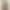 【Light Moss Khaki】Best-selling 26 new early autumn slim-fit narrow wide-leg jeans for women