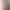 [9Hour] Personalized Deconstructed Scimitar Jeans for Women 2026 Spring Dopamine Bright Color Wide-Leg Pants 8193