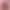 Matte Nail Polish matte matte surface 2024 New Year festive purplish red big purple white deep wine red pumpkin color
