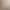 Amazon's Best-Selling Long-Sleeved Round Neck Sweatshirt for Women in Autumn New Loose Large Size Christmas Tops Europe and America