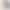 260g Heavyweight Pure Cotton Ribbed Long-Sleeve Unisex Solid Color Crew Neck Base Shirt Casual Versatile Loose-Fitting Autumn Top