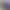 Threecolorwovenbagdownjacket Three-Color Striped Webbing down Jacket Winter White Goose down