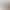 Foreign Trade Comfortable Traceless Sports Underwear Women's Rimless Thin Big Chest Small Bra Four Rows Four Buckle