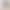 3 Colors in Stock 2026 Cross-Border Hot-Selling Set Women's Fashion Button-Collar Half-Sleeve Top + Loose Long Pants Two-Piece Set 3 Colors in Stock 2026 Cross-Border Hot-Selling Set Women's Fashion Button-Collar Half-Sleeve Top + Loose Long Pants Two-Piece Set