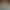 European and American Style Casual Woven Wide-Leg Pants for Women, Summer 2026 Thin Workwear Pants, Sports Shorts, Mid-Length Pants