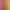 light yellow Kindergarten Ring Created Mantle Background Wall Decorative Fabric Orange Autumn Atmosphere Wedding Decoration Mesh