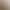 Extremely Fine Hand-Woven Golden Money String Xiaofu Brand Hand-Woven Benmingnian Red Rope Bracelet for Girlfriend Extremely Fine Hand-Woven Golden Money String Xiaofu Brand Hand-Woven Benmingnian Red Rope Bracelet for Girlfriend