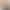 New Seamless Ice Silk Camisole with Beautiful Back, Anti-Exposure Tube Top, Women's Slim-Fitting Bottoming Underwear with Breast Pads and Inner Vest for Women