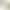 Simulated Silk Rose Single Artificial Flower Artificial Flower Wedding Home Valentine's Day Decoration High-End Bouquet Wall