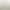 Oakmoo/"Eyes of a Lover" Gold Shiny Silk White Short-Sleeve Slim-Fit Stretchy Round-Neck T-Shirt Versatile Top