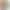 Cross-border European and American plus-size camisole with ruched neckline, loose fit, women's modal vest with chest pads