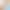 New Lace Photosensitive Color-Changing Tattoo Stickers Outdoor Uv Color-Changing Tattoo Stickers Waterproof and Sweat-Proof Temporary Tattoos New Lace Photosensitive Color-Changing Tattoo Stickers Outdoor Uv Color-Changing Tattoo Stickers Waterproof and Sweat-Proof Temporary Tattoos
