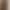 New Rose French Blackout Curtains for Living Room and Bedroom Embossed Jacquard Chenille Shaoxing Keqiao Curtain Cloth Wholesale