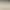 CaiPo 1/32 Matte Alloy Car Model Porsche Carrera Simulation Sports Car Pull-Back Sound and Light Toy, Various Models