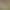 A Pair of Live White Rabbits, Male and Female, Moonlight Rabbits, Domestic Rabbits, Live Rabbit Meat, Rabbit Babies, Giant Adult Rabbit Kits A Pair of Live White Rabbits, Male and Female, Moonlight Rabbits, Domestic Rabbits, Live Rabbit Meat, Rabbit Babies, Giant Adult Rabbit Kits