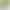 Premium Money Tree Green Plant Indoor Potted Plant Office Desktop Living Room Easy-To-Care-For Plant All Year Round Money Tree Fortune Tree