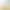 Amazon Wish independent site fashion fun personalized women's egg chicken rectangular round neck short-sleeve T-shirt base layer