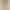 Children's Clothing 2026 New Spring and Summer Style Girls' Leopard Print Shorts Leggings Baby and Toddler Cycling Elastic Shorts