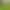 Micro Landscape Ornaments Creative Cute Forest Tree House Small House Resin Crafts DIY Desktop Decorations Accessories