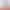 4935095 K4935095 4076581 P76917 5362256 24V for Qsx15 Isx15