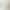 Special Offer Bulk Wool Pillow Core for Student Dormitory Neck Support Sleeping Pillow Single Pack Factory Wholesale
