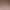 Customized European and American Style Sexy Strapless Mermaid Evening Dress, Champagne-Colored Sequined Slim-Fit Long Dress for Evening Parties and Balls