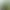 Lizard Green Wig Female Long Hair Full Headgear Long Straight Hair Fluorescent Green yabi y2k Long Straight Hair lolita Color jk