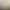 1.8m Copper Oblique Pole Feather Floor Lamp Scandinavian Post-Modern Study Living Room Bedroom Bedside Lamp Hotel Same Style