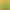 【New First Batch】Authentic Green Heart Kiwi Fruit Wholesale Seasonal Fresh Fruit Whole Box Super Sweet