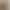 Dropshipping available: Sexy lingerie, women's halter-neck bodysuit with leopard print, sheer and alluring, open-crotch design, passionate one-piece stockings