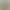 Cross-border safari background banner boy girl jungle theme birthday party supplies photography background cloth Cross-border safari background banner boy girl jungle theme birthday party supplies photography background cloth
